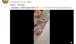 男网红吃瓜爆料视频播放,吃瓜爆料视频背后的惊人播放量揭秘